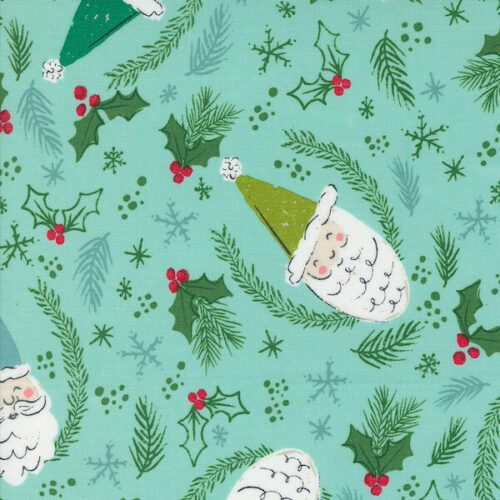 Cozy Wonderland