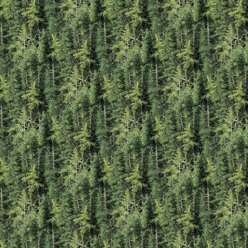 Naturescapes Basics