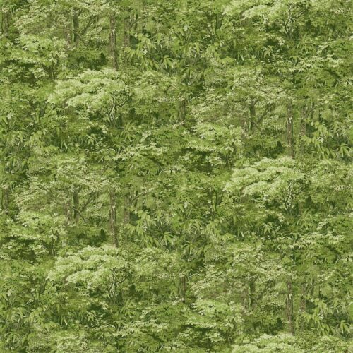 Bears Den Trees