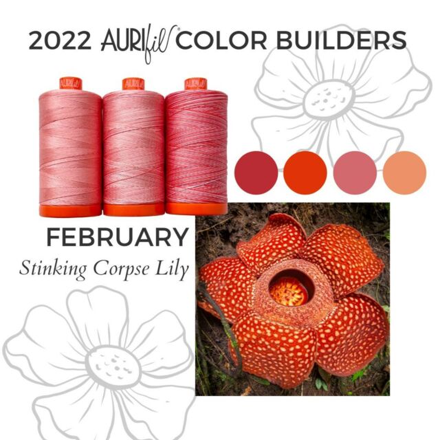 Aurifil Colour Builders for February have arrived. This months free pattern available for club members is the Stinking Corpse Lily. For more information visit www.seamsewsimple.ie
#seamsewsimple #aurifilthreadclub #stinkingcorpselily
